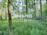 Landwirtschaftsgrund 3321 Ardagger Stift