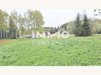 Landwirtschaftsgrund 3632 Bad Traunstein