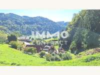 Baugrundstück 4381 St. Nikola an der Donau