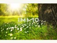 Grundstück 7464 Markt Neuhodis