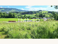 Baugrundstück 4441 Behamberg