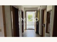 Ihr Platz an der Sonne