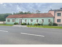 Einfamilienhaus 2412 Wolfsthal