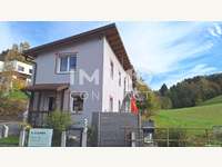 Einfamilienhaus 3261 Steinakirchen am Forst