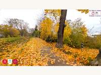 Baugrundstück in Niederösterreich