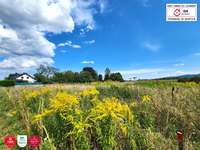 Baugrundstück Wiener Neustadt