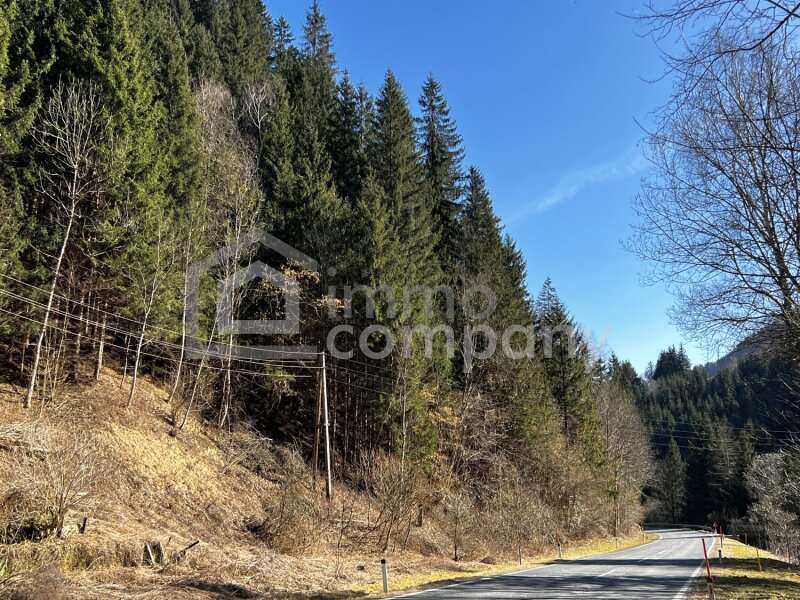 Forstwirtschaft Hüttenberg