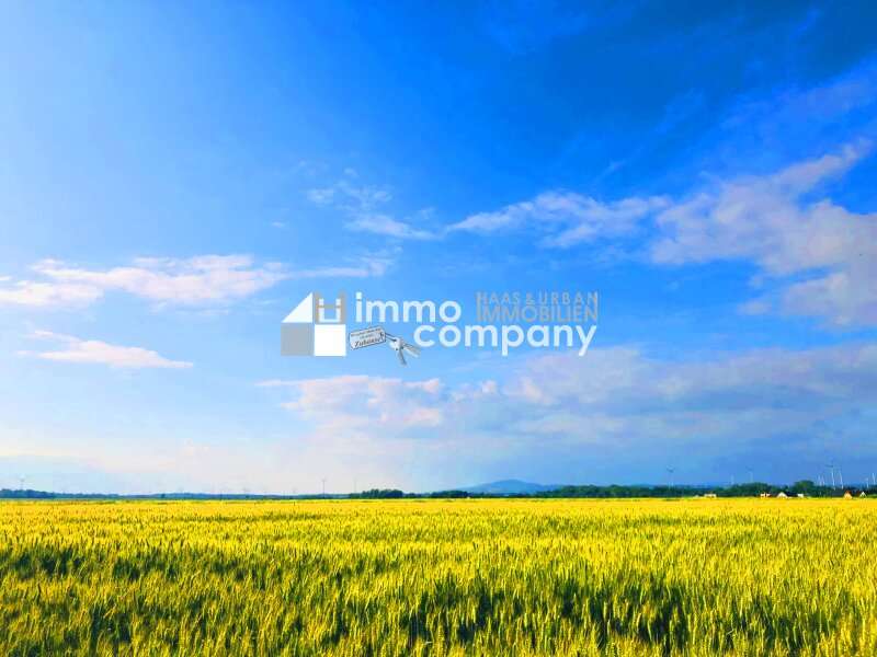 Landwirtschaftsgrund Zurndorf