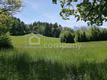 Landwirtschaft Salzburg - Bild 