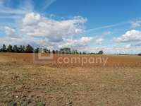 Ackerbau in Burgenland