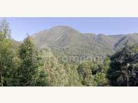 Baugrundstück Semmering - Bild 