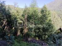 Baugrundstück Semmering - Bild 