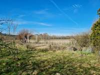 Baugrundstück Gunskirchen - Bild 