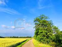 Landwirtschaftsgrund 2424 Zurndorf