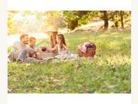 Grundstück 8072 Dillach