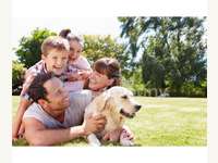 Grundstück in Steiermark