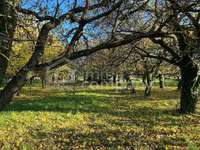 Grundstück in Burgenland