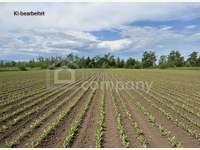 Landwirtschaftsgrund 
