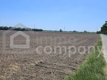 Landwirtschaftsgrund 