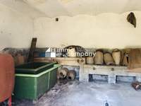 Einfamilienhaus Breitenbrunn am Neusiedler See - Bild 
