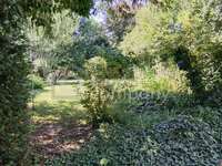 Einfamilienhaus Pottschach - Bild 