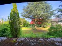 Garten - Einfamilienhaus Purbach am Neusiedler See