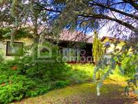 Garten - Einfamilienhaus Purbach am Neusiedler See