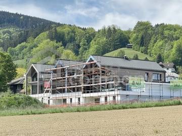 Reiheneckhaus in Oberösterreich
