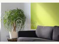 Mietwohnung Wiener Neustadt