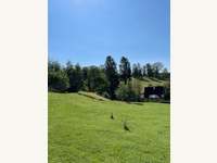 IMG 3985 - Baugrundstück Hart b, St. Peter