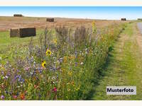 Halle 2722 Muthmannsdorf,  angrenzend an Dreistetten