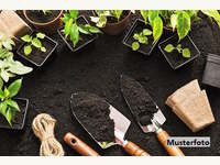 Wohn und Geschäftshaus Gnas