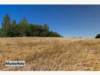 Halle 2722 Muthmannsdorf,  angrenzend an Dreistetten