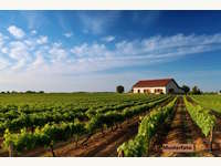 Industrieanlage Gols