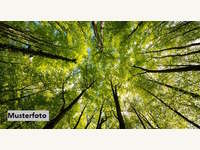 Landwirtschaftsgrund 7562 Zahling