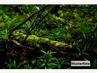 Landwirtschaftsgrund Zahling