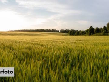 Landwirtschaftsgrund 6840 Götzis