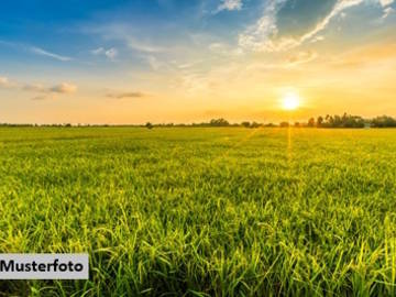 Landwirtschaftsgrund 6840 Götzis