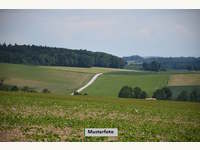 Landwirtschaftsgrund Karlstein an der Thaya