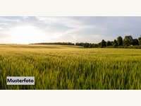 Landwirtschaftsgrund 2722 Muthmannsdorf,  angrenzend an Dreistetten