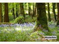 Landwirtschaftsgrund Lavamünd