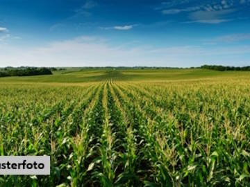 Landwirtschaftsgrund 7142 Illmitz