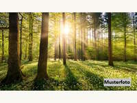 Landwirtschaftsgrund Lavamünd