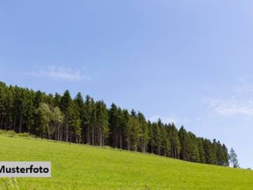 Landwirtschaftsgrund 7423 Pinkafeld