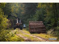Landwirtschaftsgrund 6236 Alpbach