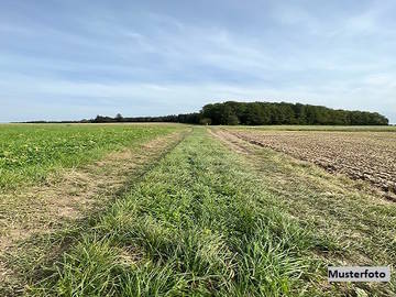 Landwirtschaftsgrund 2620 Wartmannstetten