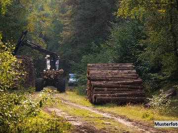 Landwirtschaftsgrund 2620 Natschbach
