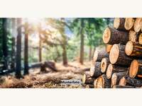 Landwirtschaftsgrund 6361 Kelchsau