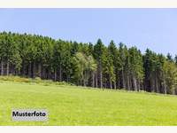 Landwirtschaftsgrund 6363 Westendorf