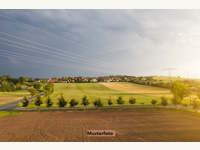 Landwirtschaftsgrund Kirchberg in Tirol